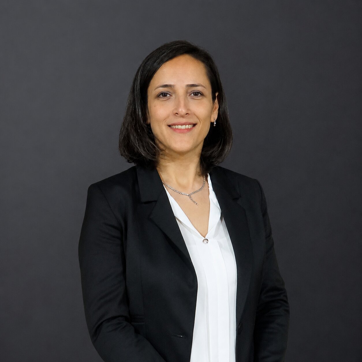 melek-turan-resmi